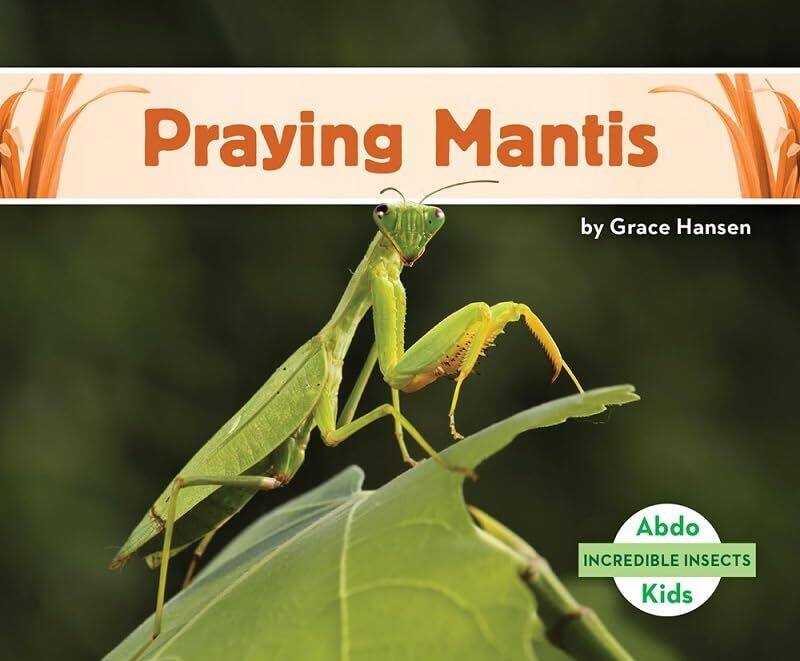 

Incredible Insects Praying Mantis by Grace Hansen-Paperback