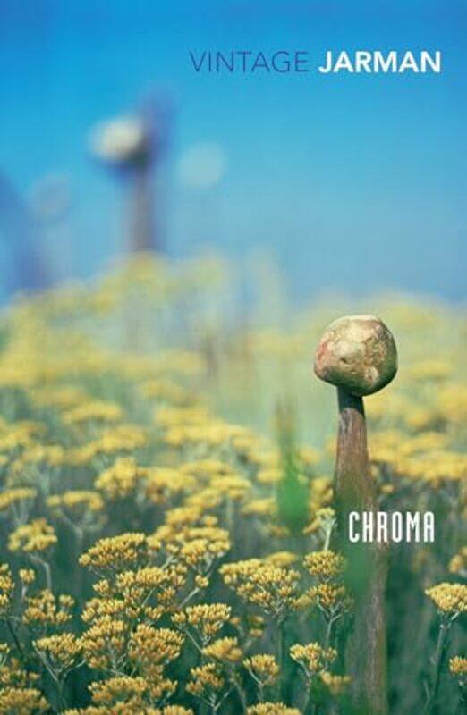 

Chroma by Derek Jarman-Paperback