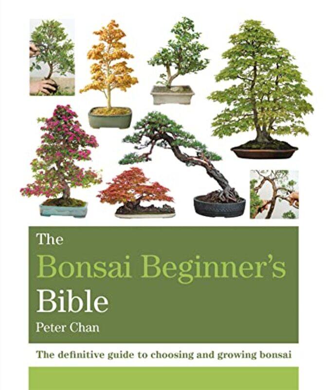 

Bonsai Beginners Bible By Chan Peter - Paperback