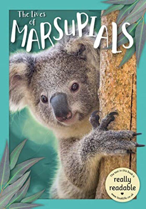 

The Lives of Marsupials by Grant Ennis-Paperback