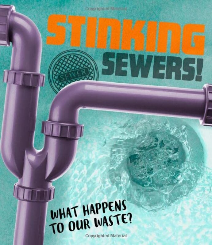 Stinking Sewers by Riley Flynn-Paperback