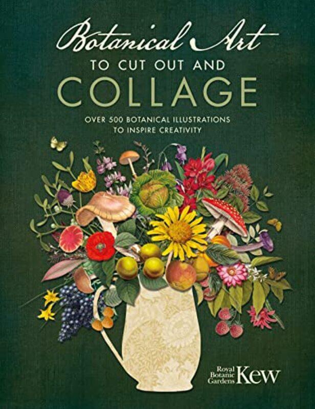 

Botanical Art to Cut out and Collage by Professor Leo Tak-hung Lingnan University Hong Kong Chan-Paperback