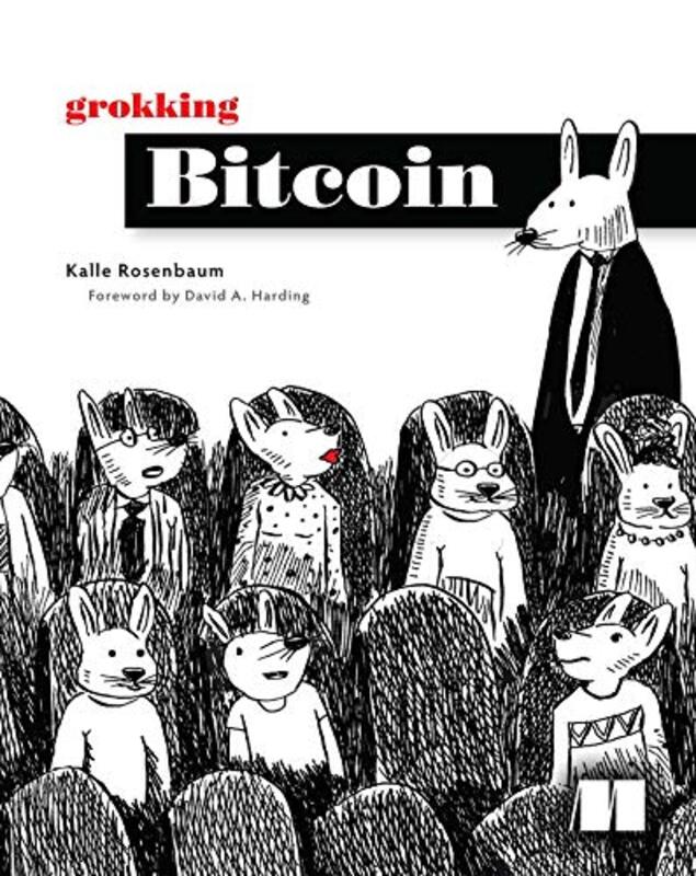 

Grokking Bitcoin by Mary RoulstonMark Roulston-Paperback