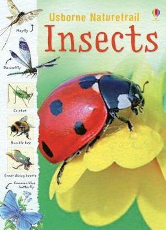 

Insects (Usborne Nature Trail).paperback,By :Rachel Firth