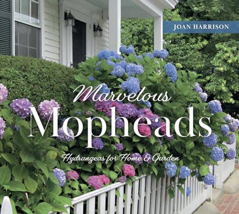 

Marvelous Mopheads by Angel Lopez-Garcia-Hardcover