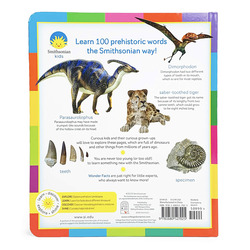 100 Dinosaur and Prehistoric Words to Know, Board Book, By: Scarlett Wing