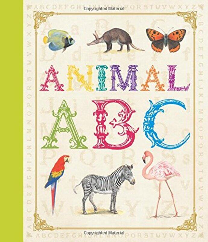 

First Concept: Animal ABC, Hardcover Book, By: Camilla Bedoyere