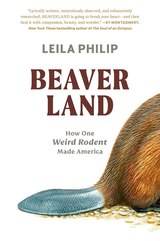 

Beaverland, Hardcover Book, By: Leila Philip