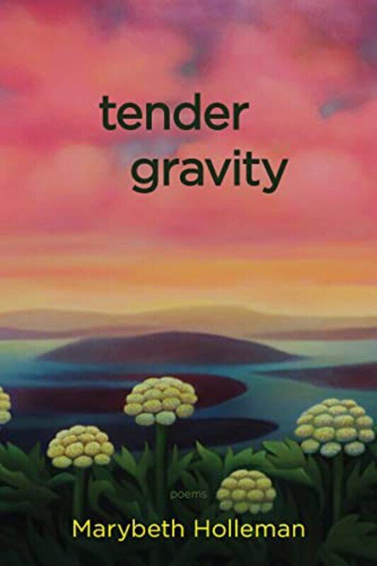 

tender gravity by Marybeth Holleman-Paperback