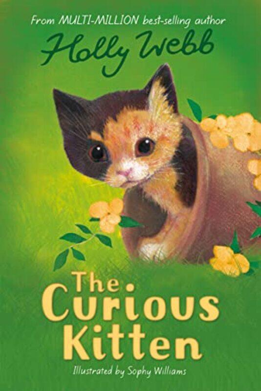 

The Curious Kitten by Holly WebbSophy Williams-Paperback
