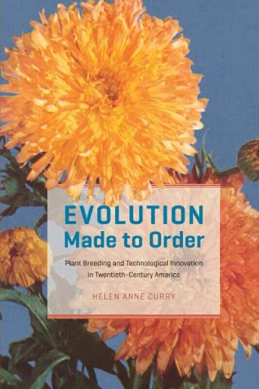 

Evolution Made to Order by Inc Jewish Publication Society-Paperback