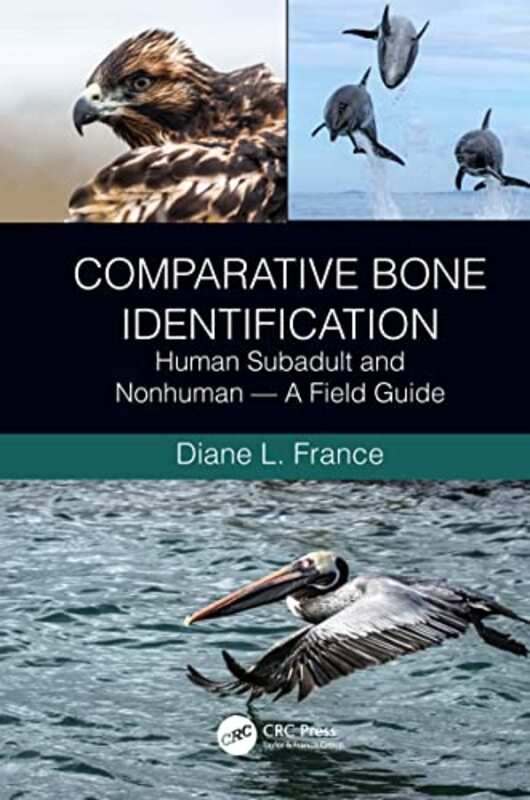 Comparative Bone Identification by Imran Birmingham City University UK Mogra-Paperback