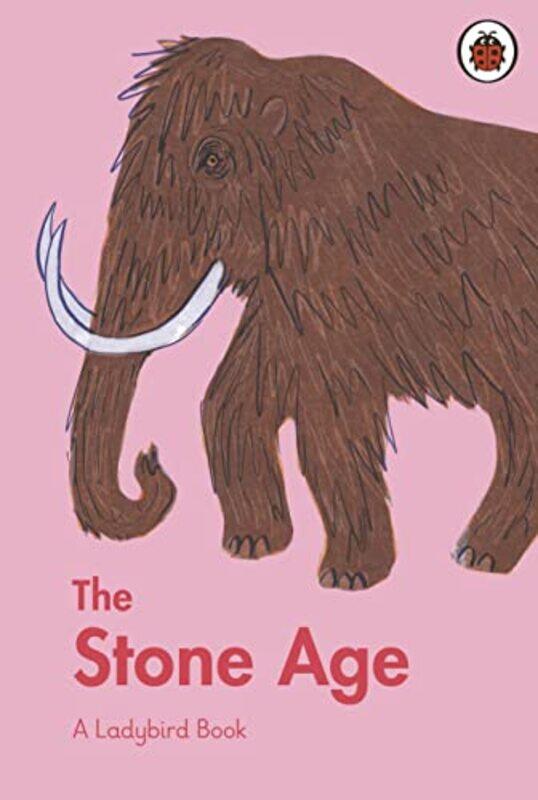 

A Ladybird Book The Stone Age by Ansari, Sidra - Haine, Rosie Hardcover