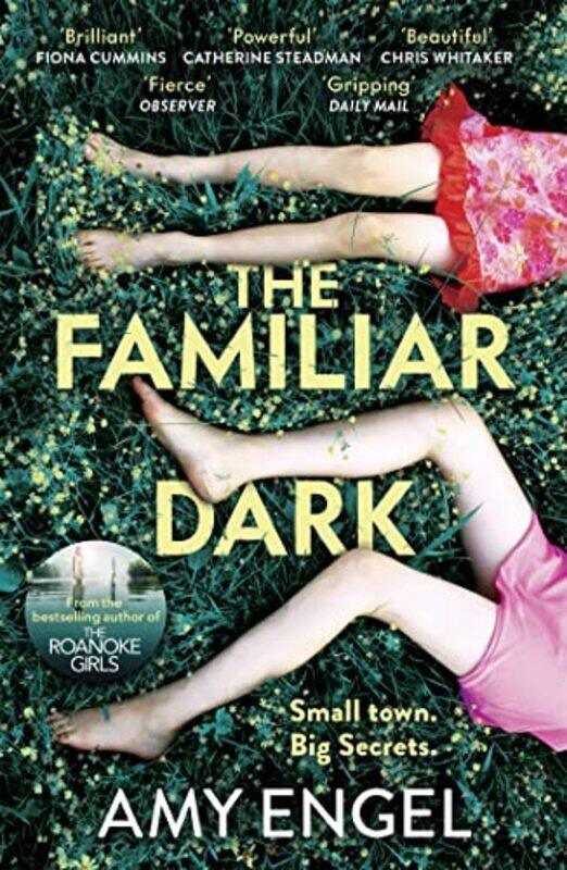 

The Familiar Dark by Amy Engel-Paperback