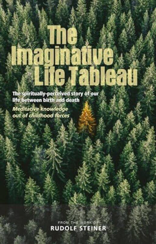 

The Imaginative Life Tableau by Anaxos Inc-Paperback