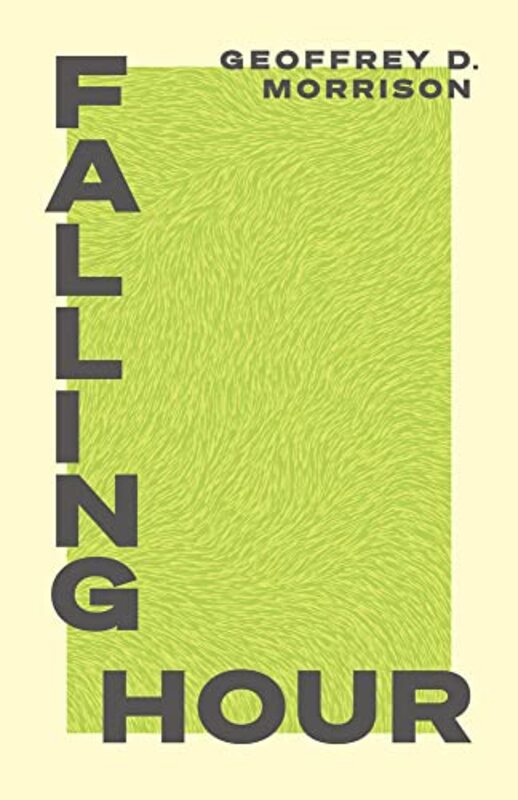 Falling Hour , Paperback by Geoffrey Morrison