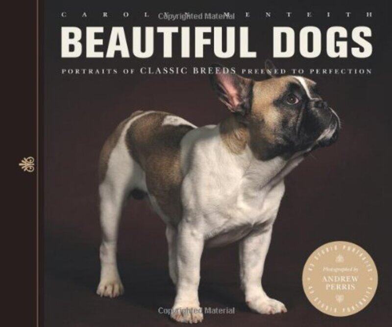 

Beautiful Dogs: Portraits of Champion Breeds Preened to Perfection, Paperback Book, By: Carolyn Menteith