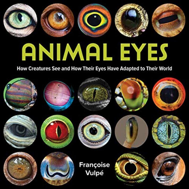 

Animal Eyes by Francoise Vulpe-Paperback