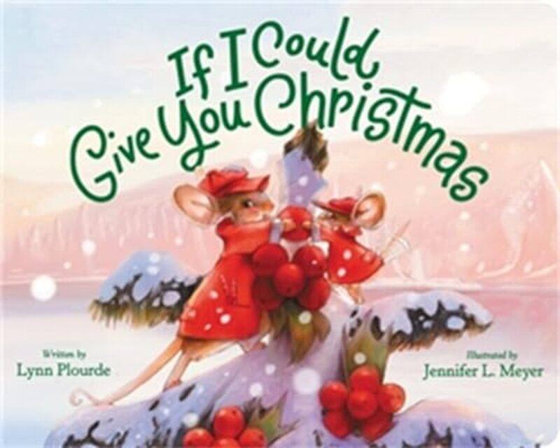 

If I Could Give You Christmas by Lynn PlourdeJennifer L Meyer-Hardcover