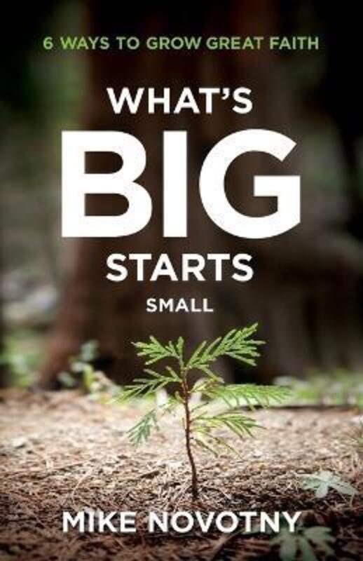 What's Big Starts Small: 6 Ways to Grow Great Faith,Paperback,ByNovotny, Mike
