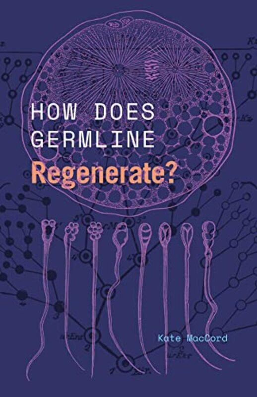 

How Does Germline Regenerate by Kate MacCord-Paperback