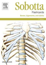 Sobotta Flashcards Bones Ligaments And Joints by Lars Brauer Paperback