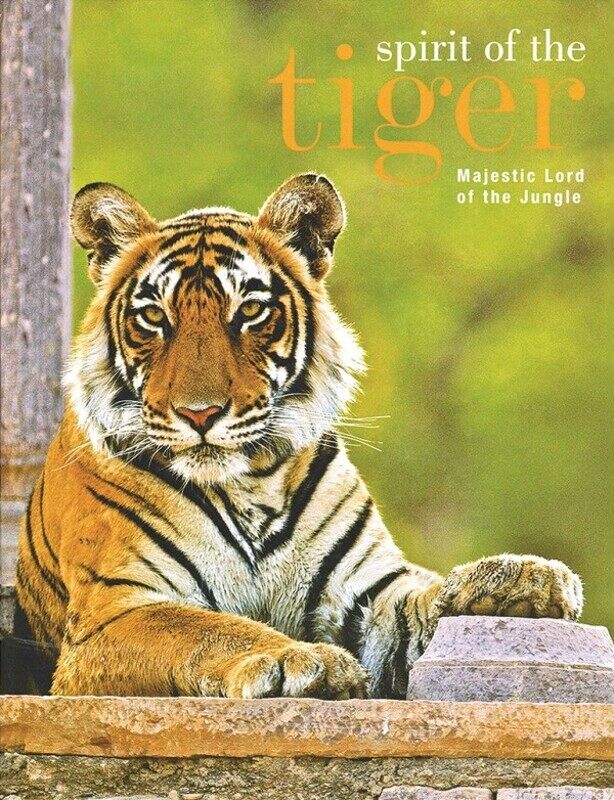 

Spirit of the Tiger, Hardcover Book, By: Parragon Books