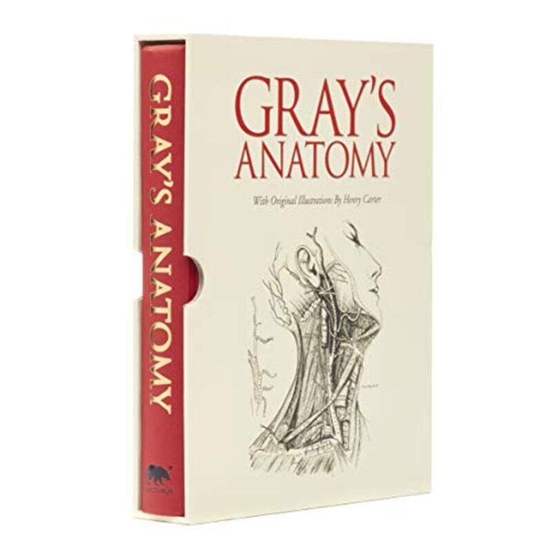 

Grays Anatomy by Karl NewsonClara Anganuzzi-Hardcover