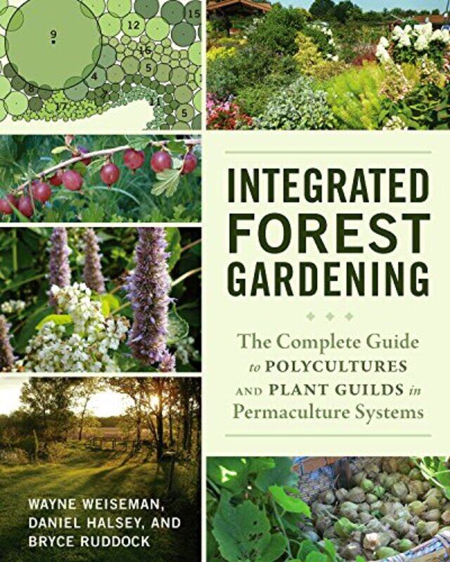 

Integrated Forest Gardening by Dr Dalal Abo El Seoud-Paperback