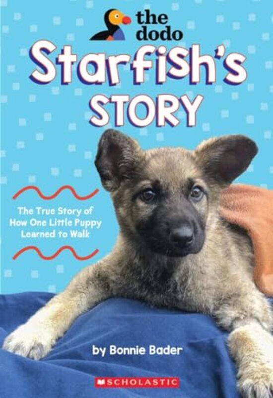 

Starfishs Story By Bader Bonnie - Paperback