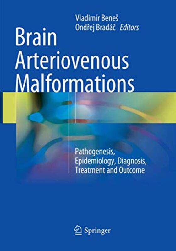 

Brain Arteriovenous Malformations by Vladimir BenesOndrej Bradac-Paperback