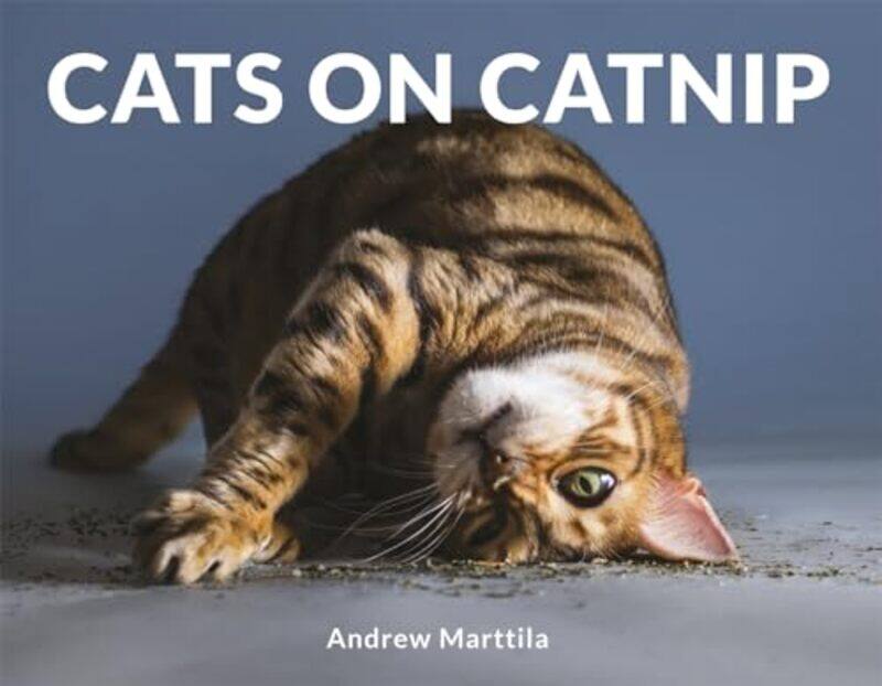 

Cats On Catnip by Andrew Marttila-Hardcover