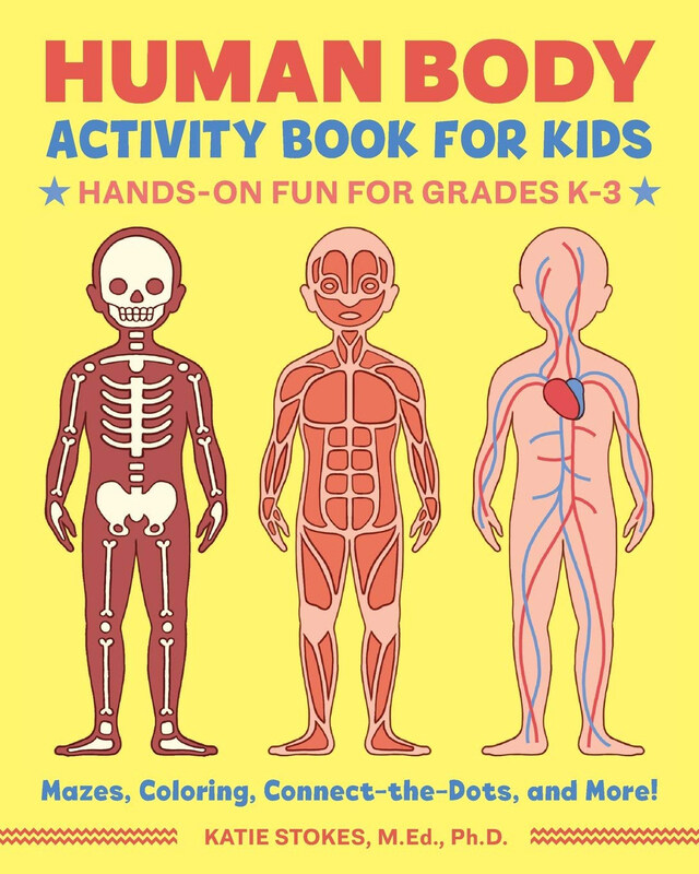 

Human Body Activity Book for Kids: Hands-On Fun for Grades K-3, Paperback Book, By: Katie Stokes