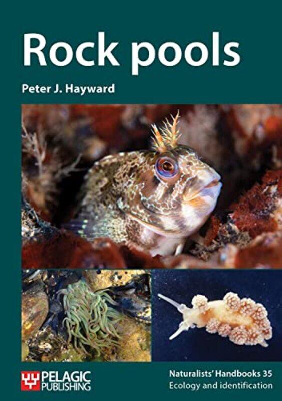 

Rock pools by Nadine Dorries-Paperback