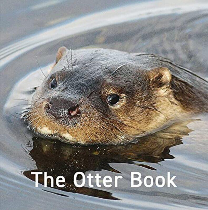 

Otter Book The by Jared A Zichek-Hardcover