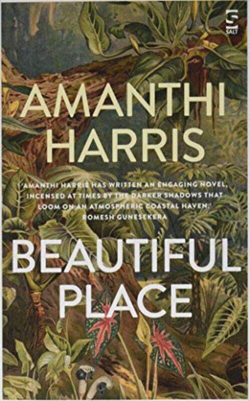 

Beautiful Place by Amanthi Harris-Paperback