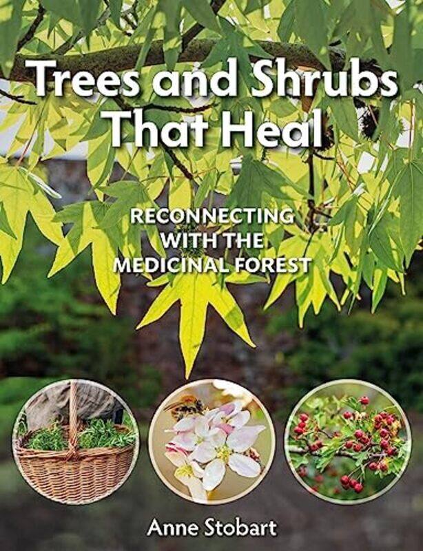 

Trees and Shrubs that Heal by Jamie King-Paperback
