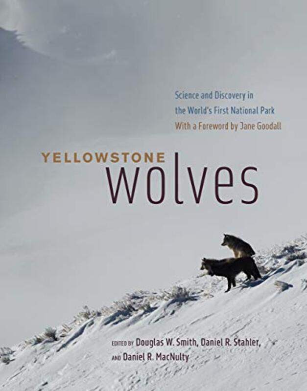 

Yellowstone Wolves-Hardcover