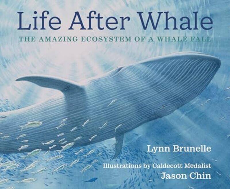 

Life After Whale By Brunelle Lynn - Hardcover