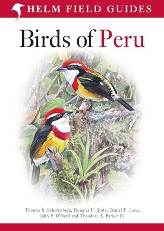 

Field Guide To Birds Of Peru by Thomas S SchulenbergDaniel F LaneDouglas F StotzJohn P O'NeillTheodore A Parker IIIDale DyerDaniel F LaneJohn P O'Neil