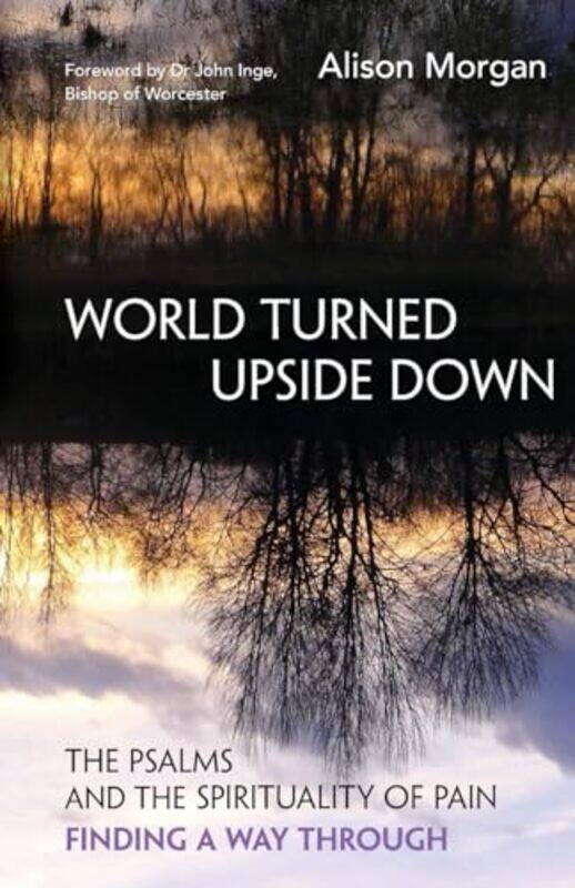 

World Turned Upside Down by Alison Morgan-Paperback