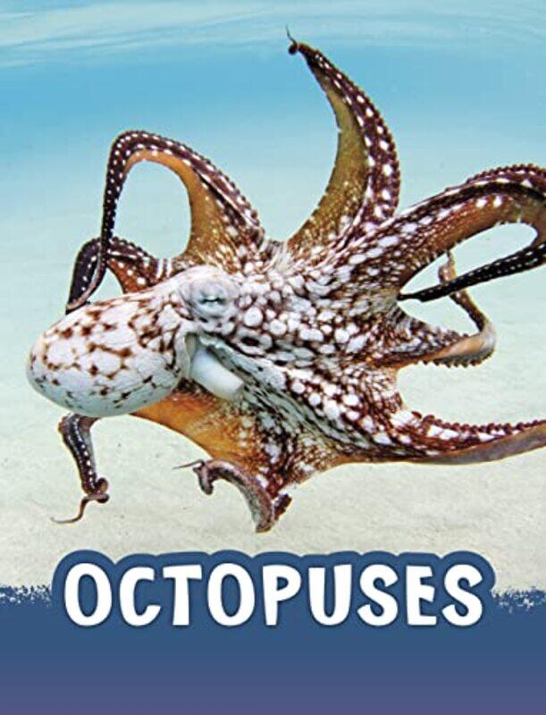 

Octopuses by Paul F Bradshaw-Paperback