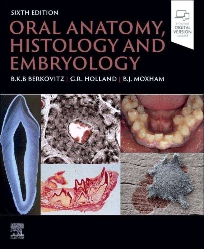 

Oral Anatomy Histology And Embryology By Berkovitz, Barry K.B, Bds, Msc, Phd, Fds (Eng) (Emeritus Reader, Anatomy And Human Sciences, Biomedi -Paperba