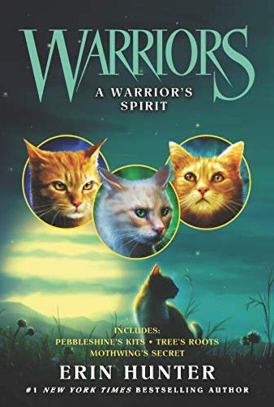 

Warriors A Warrior’s Spirit by Erin Hunter-Paperback