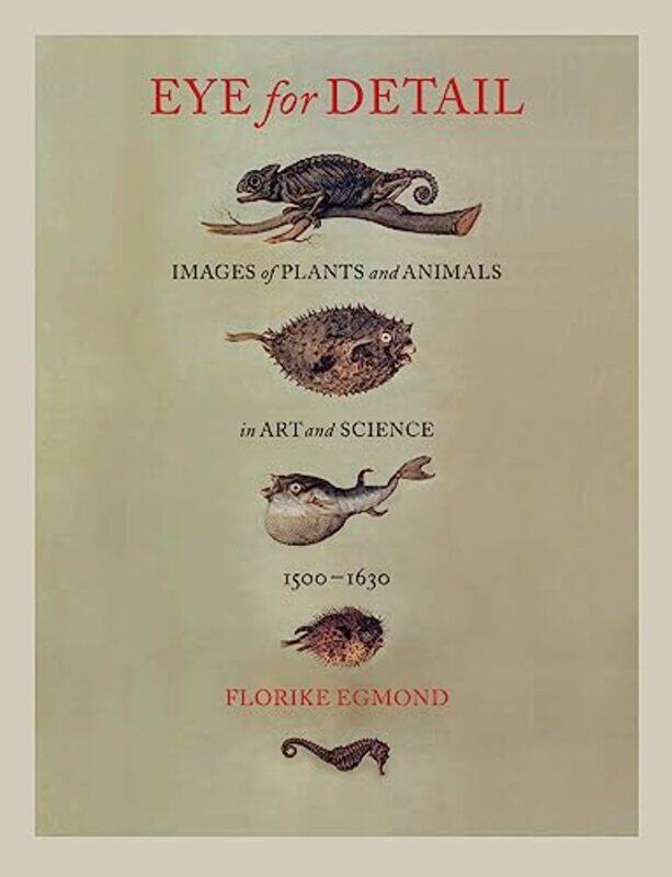

Eye for Detail by Florike Egmond-Hardcover