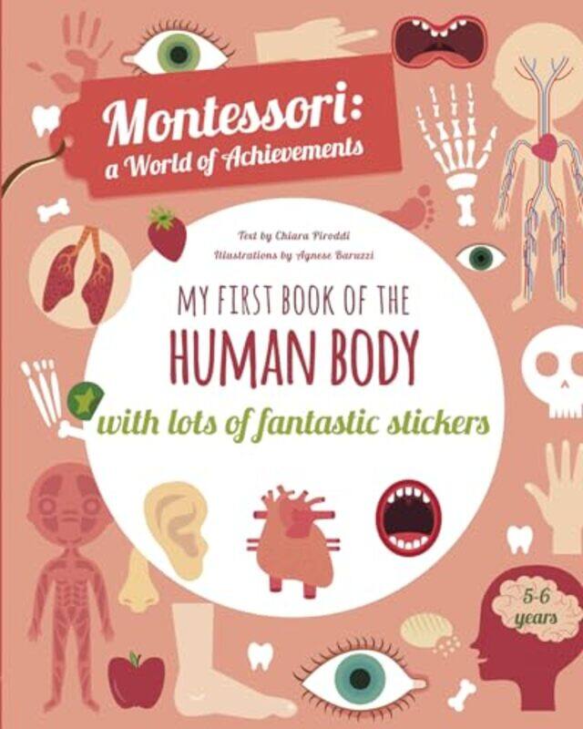 

My First Book of the Human Body by Andrea Malam BEM-Paperback