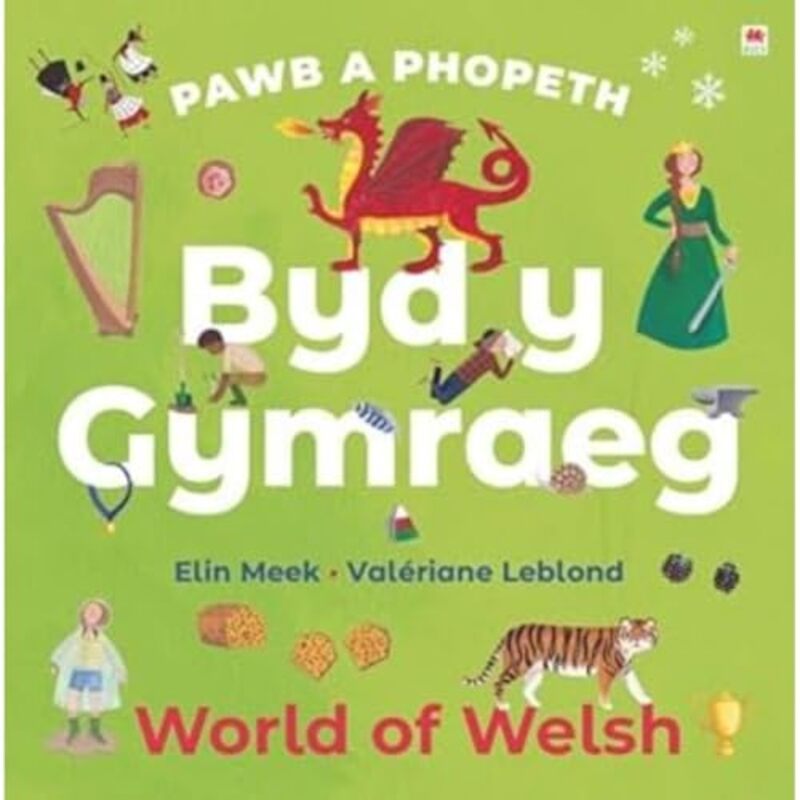 Pawb a Phopeth Byd y Gymraeg  World of Welsh by Elaine O'Reilly-Hardcover