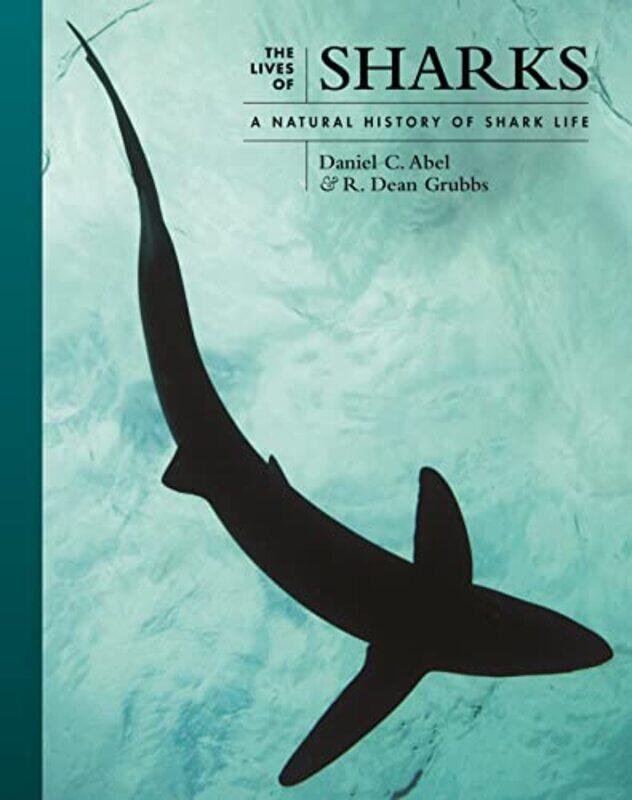 

The Lives of Sharks by Lamorna Ash-Hardcover