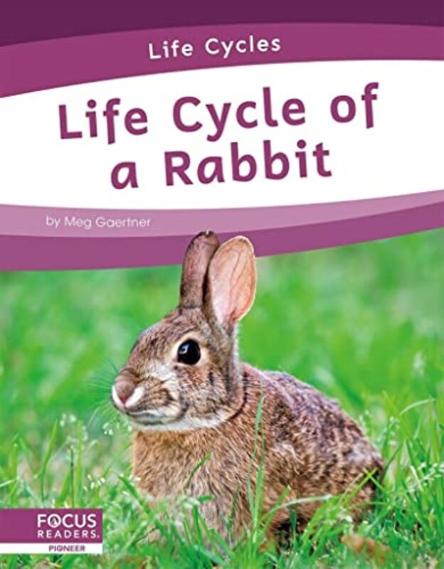 

Life Cycles Life Cycle of a Rabbit by Meg Gaertner-Paperback