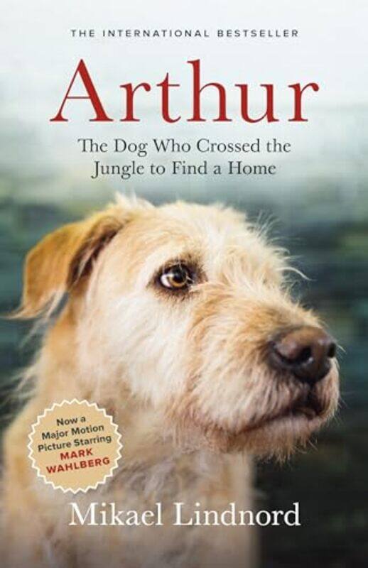 

Arthur By Lindnord Mikael - Paperback